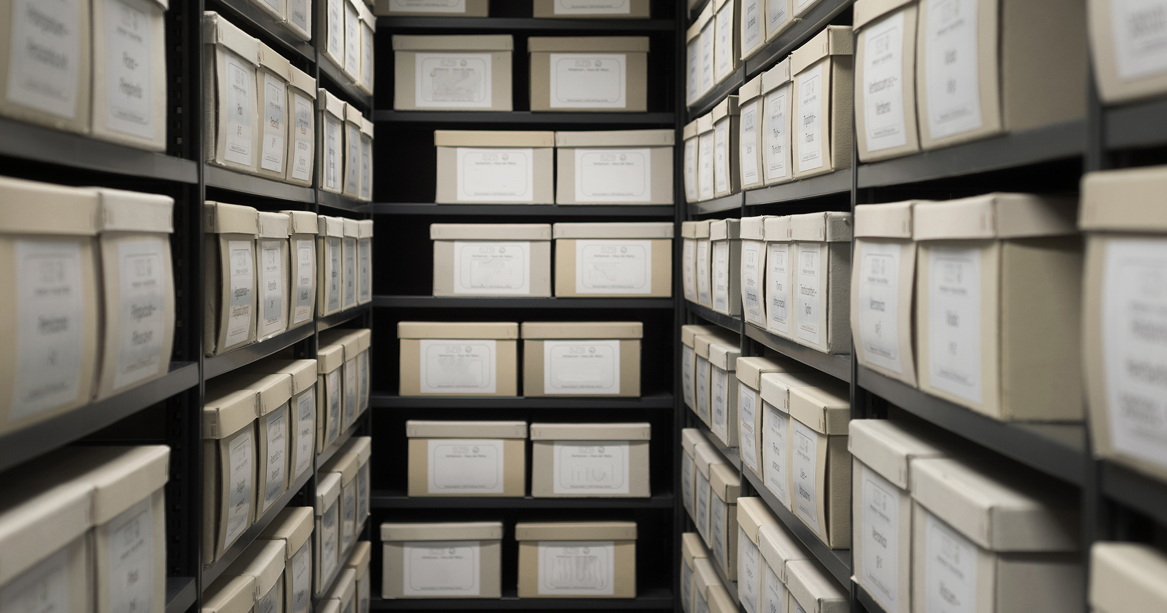 Digitizing and indexing over 200,000 existing case files