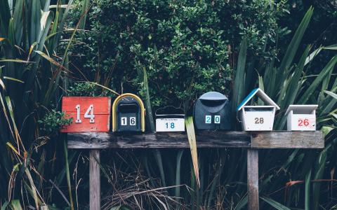  Digital Mailroom can Protect your Business's Credibility